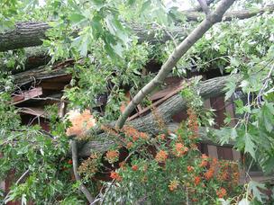 storm damage